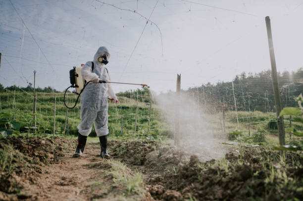 Best Local Pest Control Services  in Peru, IL