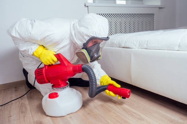 Best Local Pest Control Services  in Peru, IL