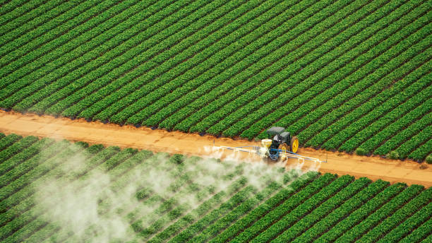 Best Best Pest Control Companies  in Peru, IL