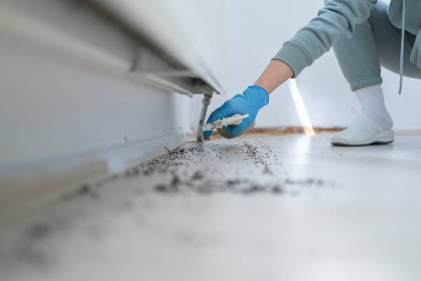Best Pest Removal Services  in Peru, IL